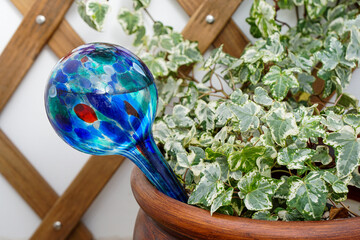 Watering globe, a device for watering house plants during vacations.