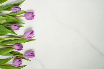Beautiful purple tulips on light marble background with copy space. Space for text. Mother’s day, greeting card, birthday celebration, women’s day. Spring minimal concept.