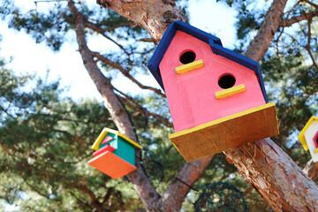 There is a pink birdhouse on the tree.
