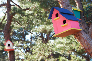 There is a pink birdhouse on the tree.
