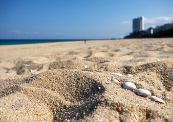 Gyeongpo Beach in Gangneung-si, South Korea. Gyeongpo Beach is a famous beach in Korea.
