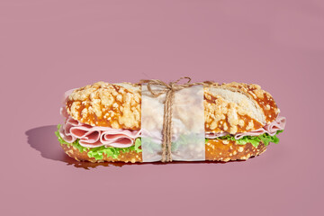Fresh and tasty sandwich on coral background