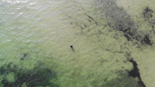 Luftaufnahme von Angler mit Angel in Wathose im Wasser bei Sonne watend per Drohne gefilmt von oben