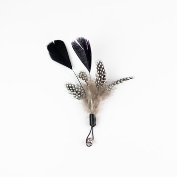 Feather On Black Background Toys For Dog And Cat Pet