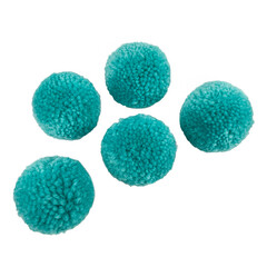 sponge isolated on white toys for dog and cat pet