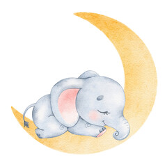 Watercolor illustration of a cute cartoon sleeping elephant. Cute animals sweet dreams.