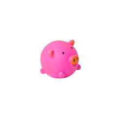 piggy bank isolated on white beads toys for dog and cat pet