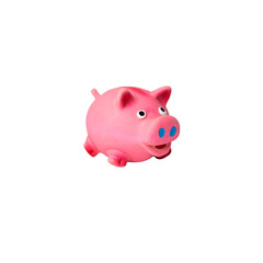 piggy bank isolated on white beads toys for dog and cat pet
