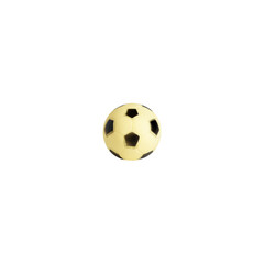 soccer ball isolated on white toys for dog and cat pet