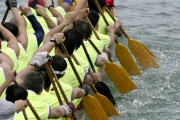 the paddle crew of a dragon boat