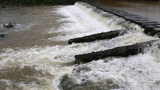 폭우후에 넘쳐나는 흙탕물의 이유 Reasons for muddy water overflowing after heavy rain