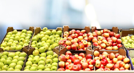 buying vegetables and fruits  at the market