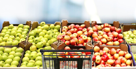 buying vegetables and fruits  at the market.empty grocery cart in an empty supermarket