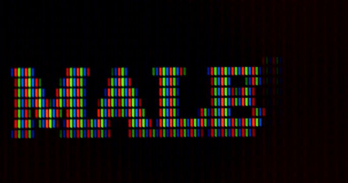 The word male is written in pixel letters on the monitor. RGB font rendering. Designation of gender. Dark background. The cursor is blinking.