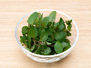 ハーブ　ペパーミント