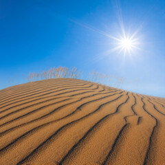 sandy dune in light of sparkle sun, sandy desert landscape