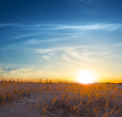 wide sandy prairie at the dramatic sunset, evening natural landscape