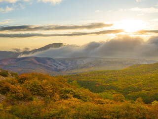 misty mountain valley with red dry forest at the sunset