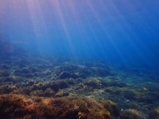 Fototapeta na wymiar underwater scene with sun rays and sun