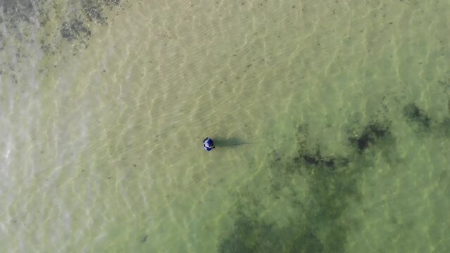 Luftaufnahme von Angler mit Fisch schwimmend  im Wasser in Wathose bei Sonne watend per Drohne gefilmt von oben