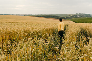 The beautiful bearded man in yellow sweater walking in big field of wheat. Farming, business, young people. Alone, ripe, food, bread.