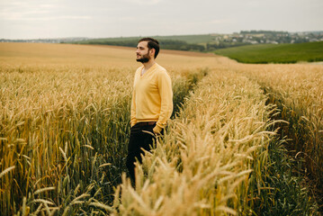 Naklejka na ściany i meble The beautiful bearded man in yellow sweater walking in big field of wheat. Farming, business, young people. Alone, ripe, food, bread.