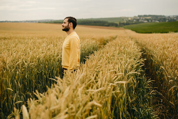 The beautiful bearded man in yellow sweater walking in big field of wheat. Farming, business, young...