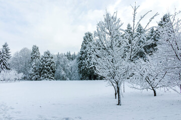 Winter view of South Park in city of Sofia, Bulgaria