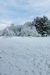 Winter view of South Park in city of Sofia, Bulgaria