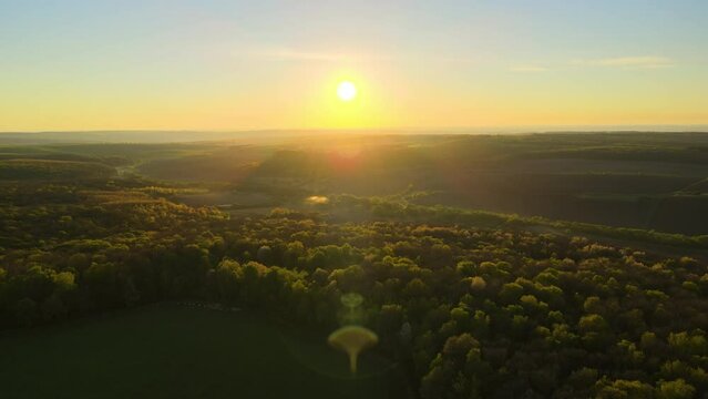 Aerial view of woodland with fresh green trees and agricultural arable fields in early spring at sunset