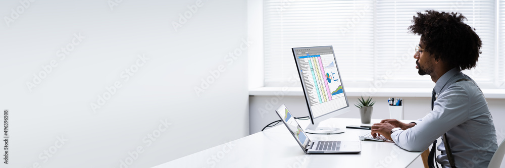Poster analyst employee working with spreadsheet