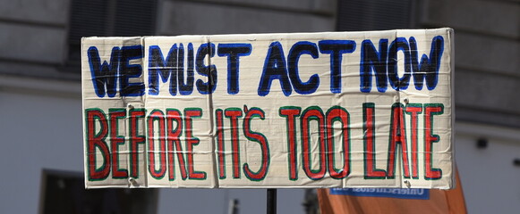 Schild auf einer Demo: "We must act now, before it's too late"