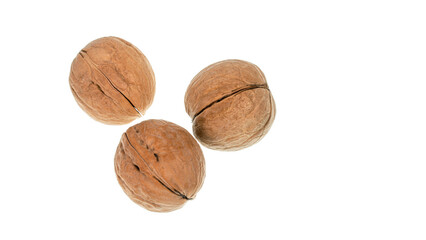 walnuts on a white background. big nuts