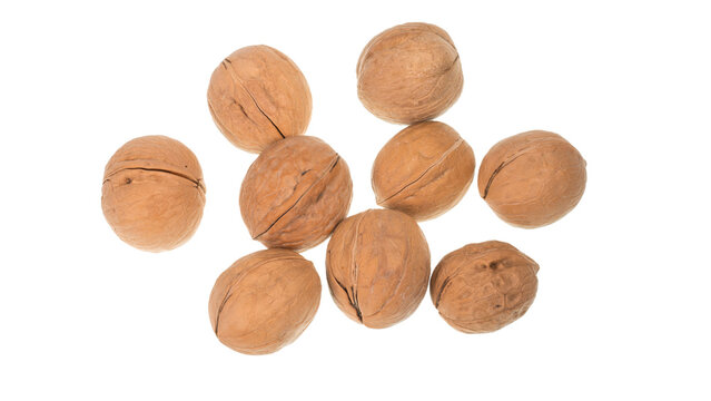 walnuts on a white background. big nuts