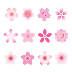 Cherry blossom graphic design source