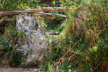 Fototapeta premium Natural Sceneries of The Volcanic Hot Springs in Segesta, Province of Trapani, Italy. (Part II)