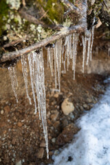 Icicles in the nature in Davos in Switzerland