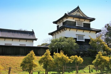 Fototapeta premium 福岡市の福岡城潮見櫓