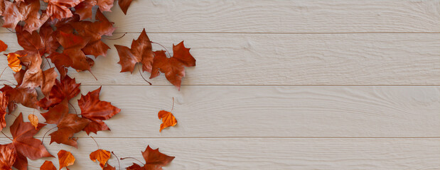 Fall Background.