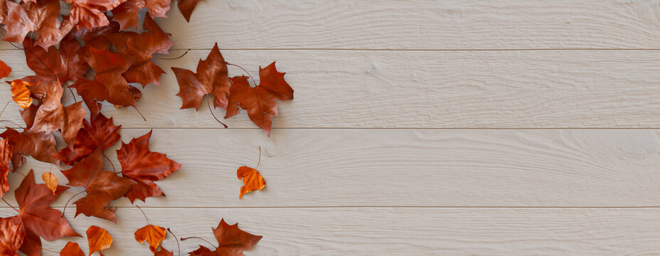 Fall Background.