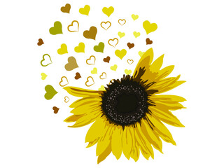 Half Sunflower Vector illustration. Sunflower with Heart silhouette, Valentine Flower text frame Isolated on white background.