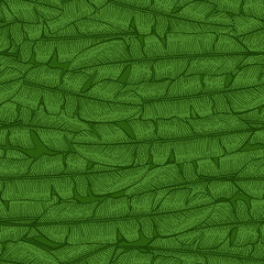 Tropical banana leaf seamless pattern. Jungle leaves background.