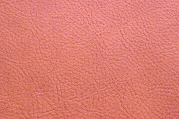 A close-up texture of real cowhide.