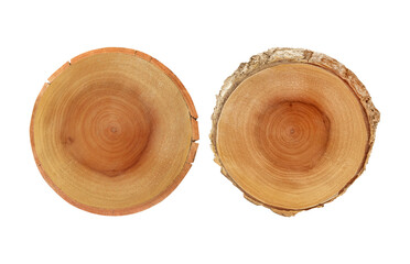 Cross section of tree trunk isolated on white background with clipping path include for design usage purpose.