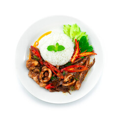 Stir Fried Squids with Chili Paste Served Rice