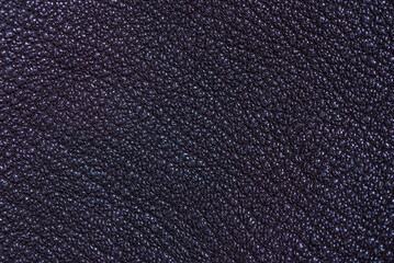 A close-up texture of real deer leather.