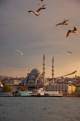 Fototapeta na wymiar Istanbul Golden Horn view. Flock of seagulls. passenger ferries. Mosques. 