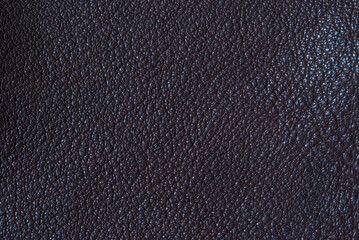 A close-up texture of real deer leather.