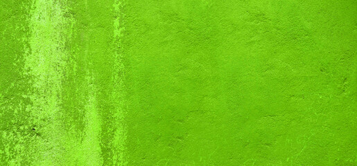 Light Green concrete textured background. Poster, design, wallpaper text space 
