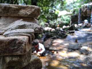 Fototapeta premium Discreet Frog on the Stones in a Waterfall